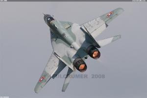 SAF 2008