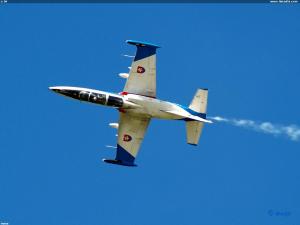 L-39