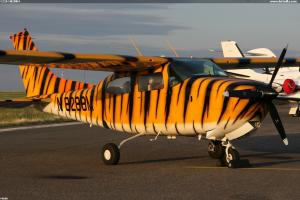 C210 N8288M