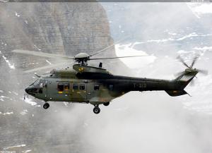 Cougar2