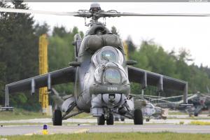hind