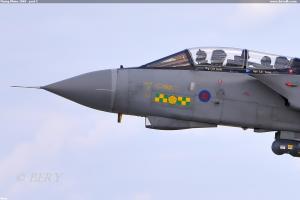 Flying Rhino 2009 - part I