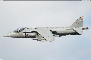 Harrier