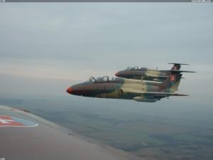 L-29