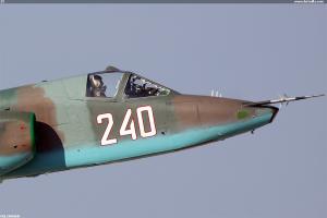 25