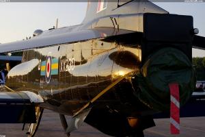 Hawk T-1