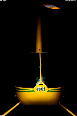 R44 Lemon