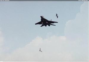 Mig 29 a bocianik