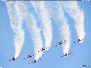 Patrulla Águila