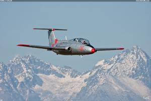 Delfín v Tatrách