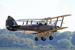 Tiger Moth