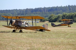 Tiger Moth