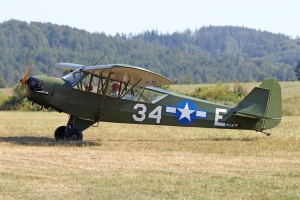 Taylorcraft L-2 - Grasshopper